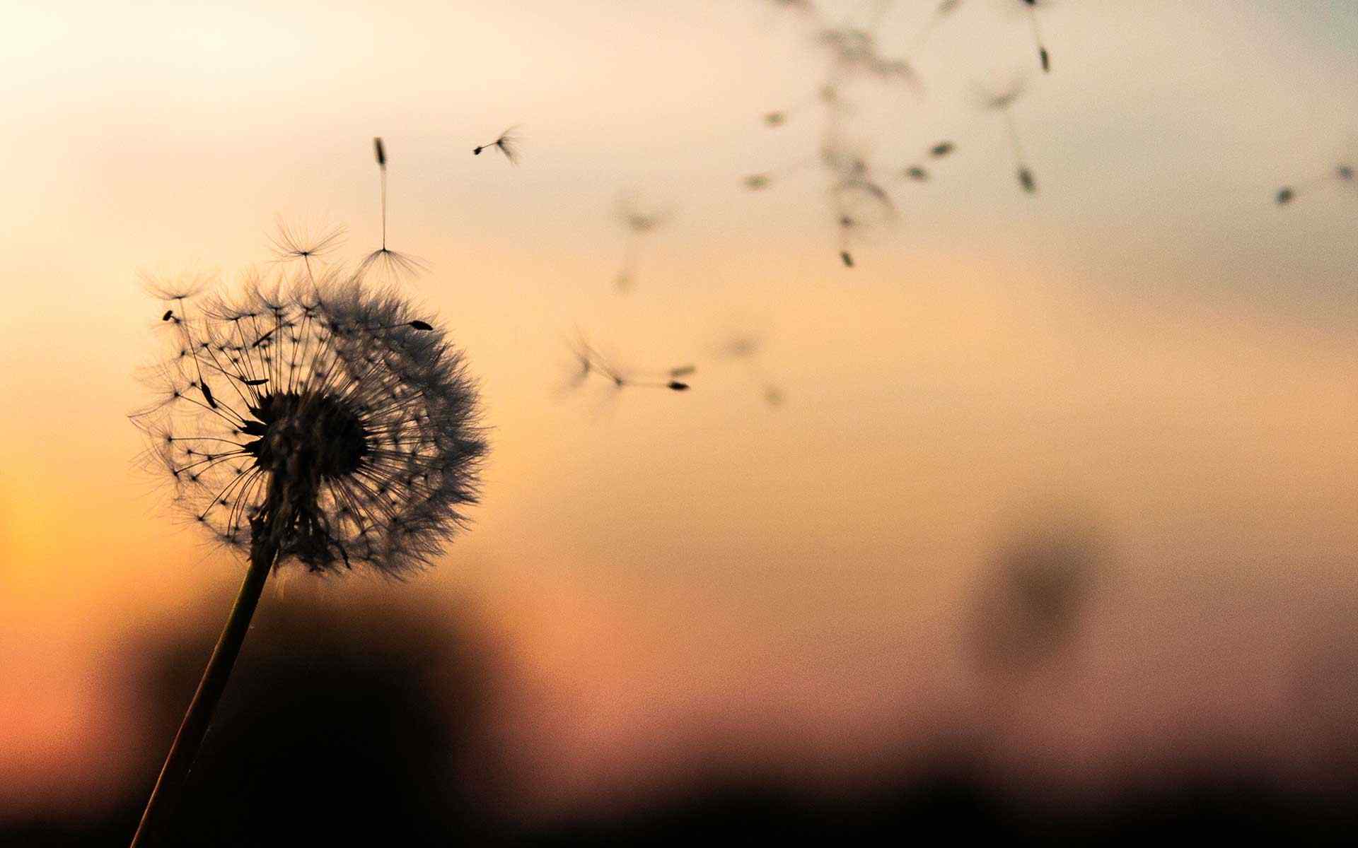 https://flexopackaging.com.au/wp-content/uploads/2018/09/post_02.jpg